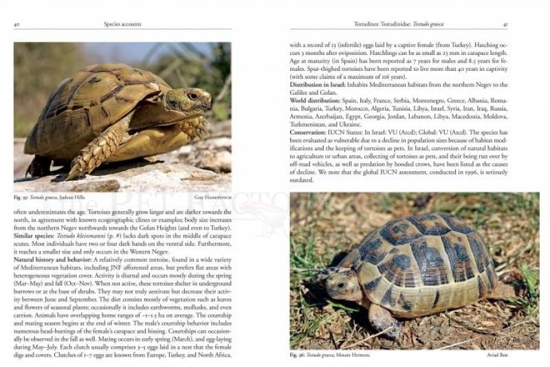 Field Guide to the Amphibians and Reptiles of Israel